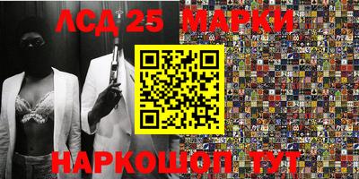 индика Дубна