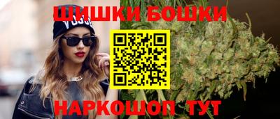 индика Дубна
