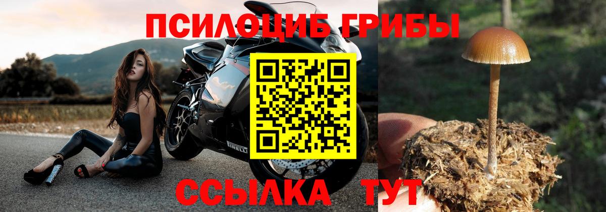 Псилоцибиновые грибы мицелий  Вход с VPN  Бирск  Галлюциногенные грибы Psilocybine cubensis 